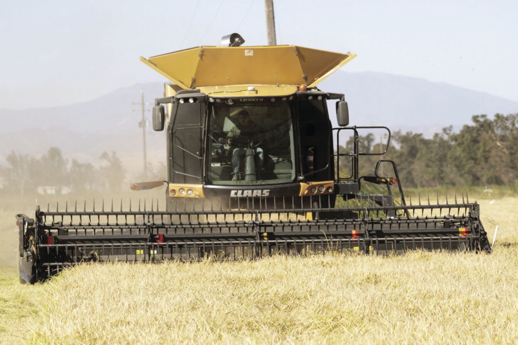 Colusa County sees $24.8 million increase in agricultural production